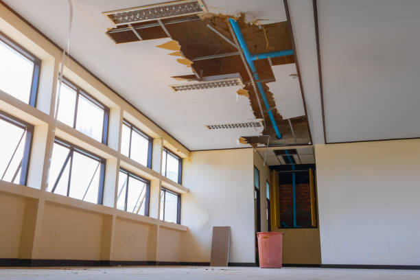  Westmorland, CA Water damage restoration Pros