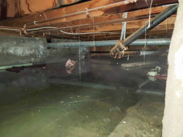Best Emergency water damage restoration  in Westmorland, CA