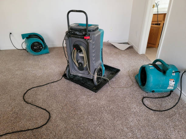 Water damage restoration experts in CA