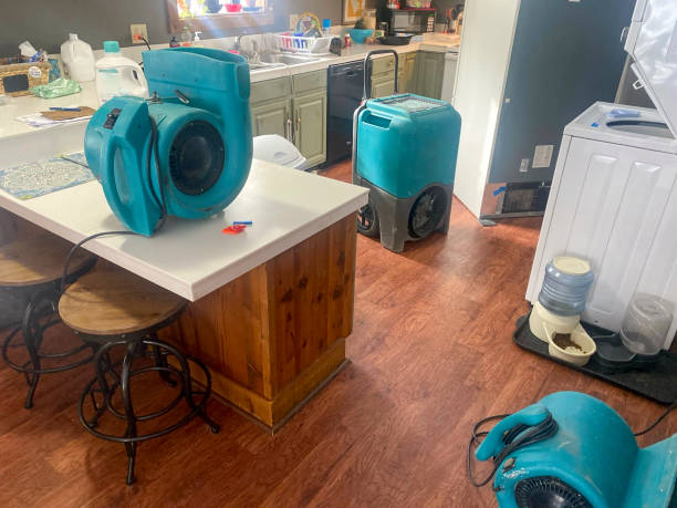 Best Water damage cleanup near me  in Westmorland, CA