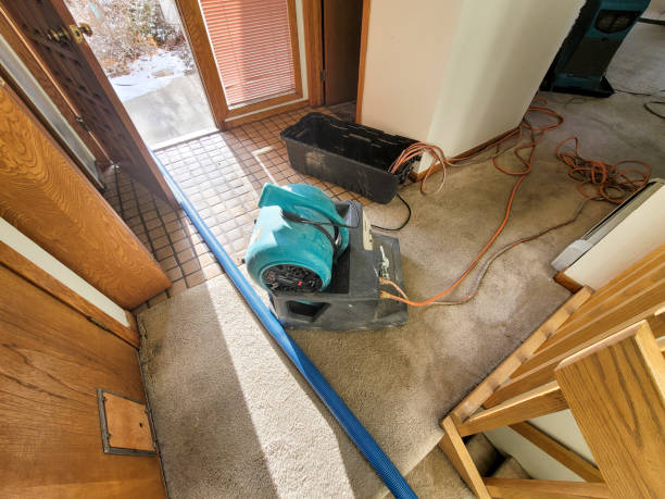 Best Professional water damage repair  in Westmorland, CA