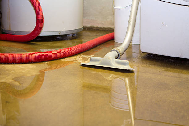 Best Water damage restoration near me  in Westmorland, CA