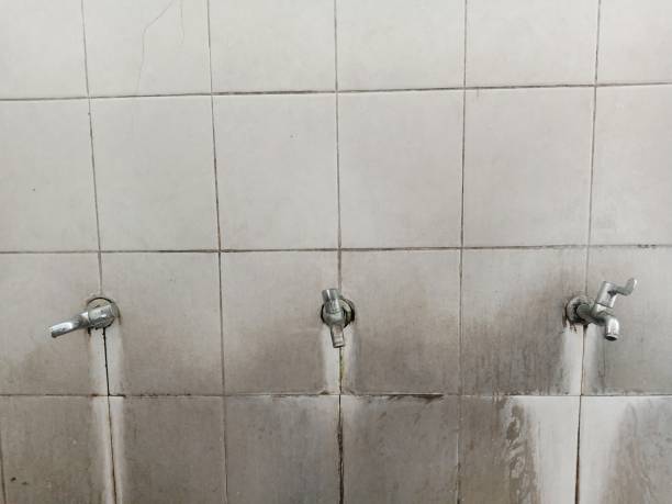 Best Water damage restoration company  in Westmorland, CA