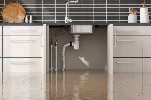 Best Carpet water damage restoration  in Westmorland, CA